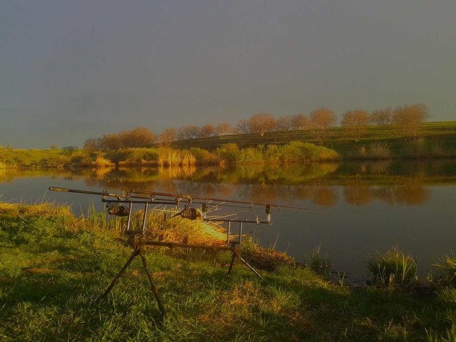 Diverse - 2012-04-20-193757.jpg